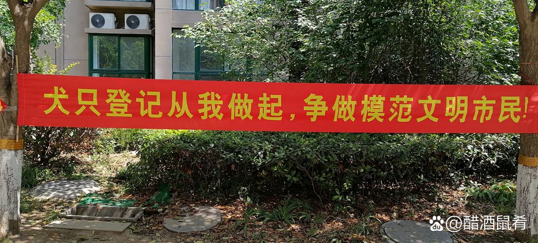南洋国际教育
